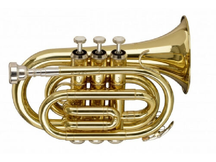 Stagg WS-TR245S - Trompette de poche en Sib, perce ML, corps en laiton