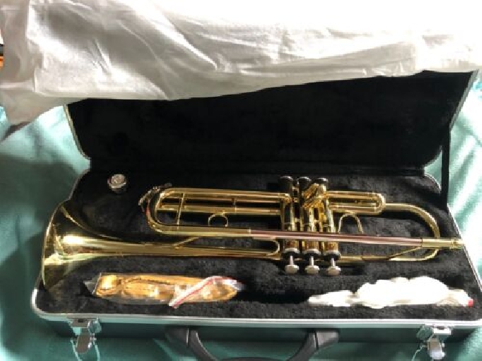 Trompette Classic Cantabile 12 cm Acoustique Gobelet 54 cm de long dans la valis